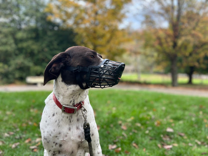 Humane Innovations Basket Muzzle Set