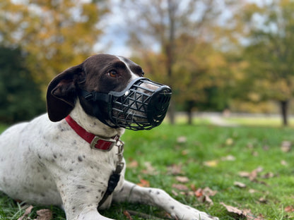 Humane Innovations Basket Muzzle Set